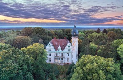 Castle for sale Kruszewo, Greater Poland Voivodeship