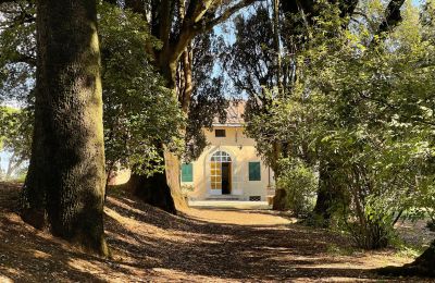 Historic Villa for sale Siena, Tuscany:  RIF 2937 Blick auf Eingang