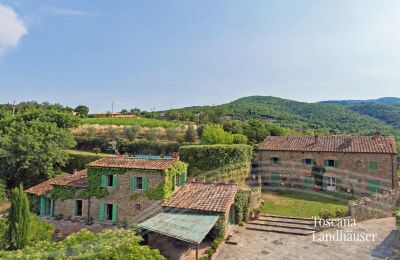 Landhus købe Arezzo, Toscana, RIF 2993 Blick auf Anwesen 