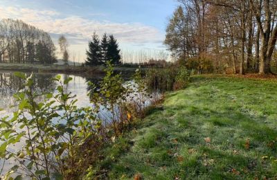 Herregård købe 14-330 Sople, Dworek Sople 17, województwo warmińsko-mazurskie, Dam/sø