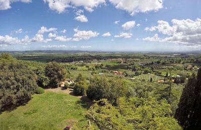 Historic Villa for sale Campiglia Marittima, Tuscany, Garden