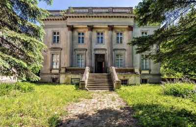 Castle for sale 64-610 Słomowo, Słomowo 1, Greater Poland Voivodeship, Front view