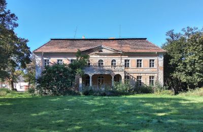 Castle for sale Granówko, Greater Poland Voivodeship, Back view