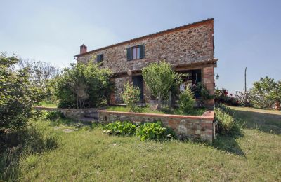 Stuehus købe Asciano, Toscana, RIF 2982 Rustico und Terrasse