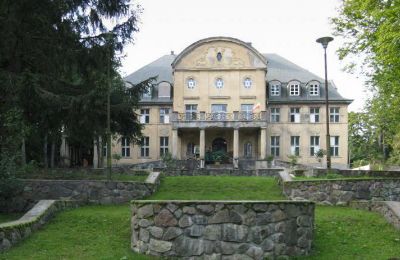 Castle for sale Trzcinno, Trzcinno 21, Pomeranian Voivodeship, Front view