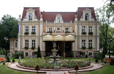 Castle for sale Niewodniki, Opole Voivodeship, Photo 1/9