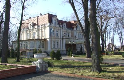 Castle for sale Niewodniki, Opole Voivodeship, Photo 5/9