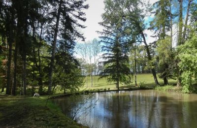 Castle for sale Bourgogne-Franche-Comté, Lake