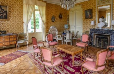 Castle for sale Bourgogne-Franche-Comté, Living Room