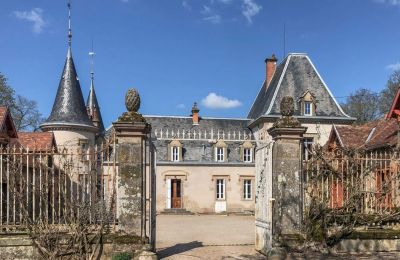 Castle for sale Bourgogne-Franche-Comté, Entrance