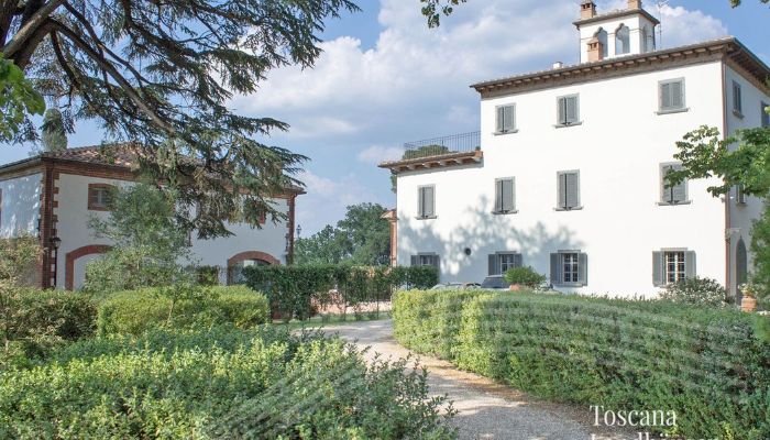 Historical villa near Arezzo with vineyard and olive grove