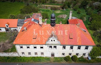 Castle for sale Brody, Zámek Brody, Ústecký kraj, Roof