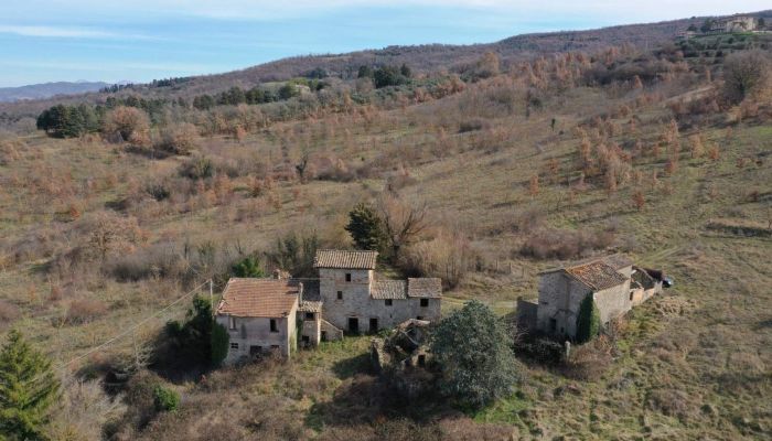 Farmhouse Umbertide 3