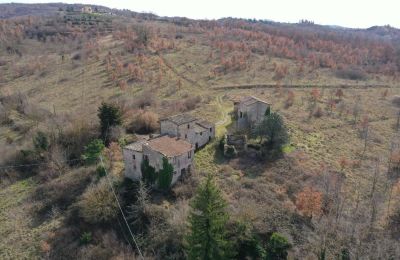 Farmhouse for sale 06019 Umbertide, Umbria:  