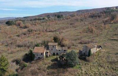 Farmhouse for sale 06019 Umbertide, Umbria:  