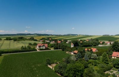 Historisk villa købe Strzelin, Kazanów 21, województwo dolnośląskie, Billede 20/20