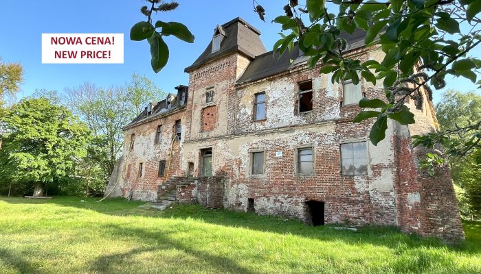 Castle for sale Komorowice, Lower Silesian Voivodeship,  Poland