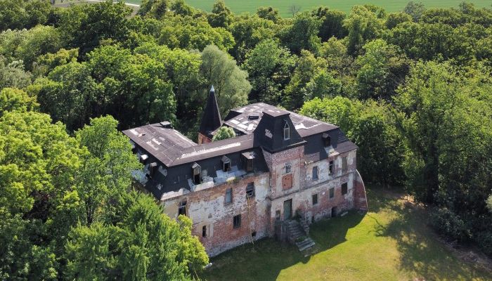 Castle Komorowice 1