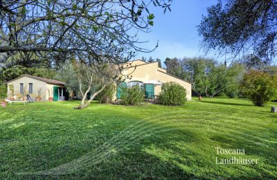 Landhus købe Castagneto Carducci, Toscana, RIF 3057 Haus und Terrasse