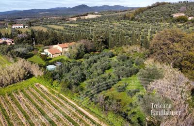 Landhus købe Castagneto Carducci, Toscana, RIf 3057 Anwesen und Olivenbäume