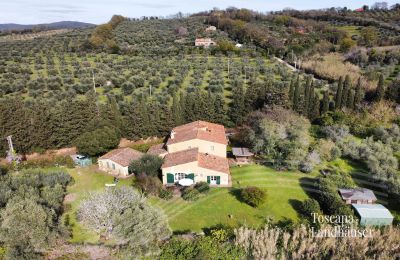 Landhus købe Castagneto Carducci, Toscana, RIF 3057 Haus und Oliven