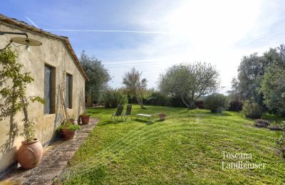 Landhus købe Castagneto Carducci, Toscana, RIF 3057 Garten