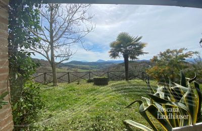 Farmhouse for sale Marciano della Chiana, Tuscany:  RIF 3055 Panoramablick