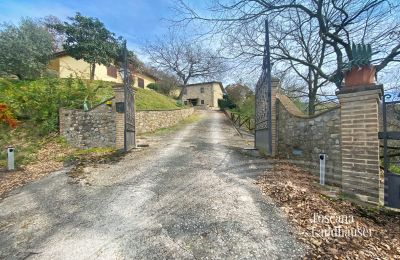 Farmhouse for sale Marciano della Chiana, Tuscany:  RIF 3055 Zufahrtstor