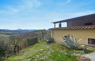 Farmhouse for sale Marciano della Chiana, Tuscany:  RIF 3055 Haus und Umgebung