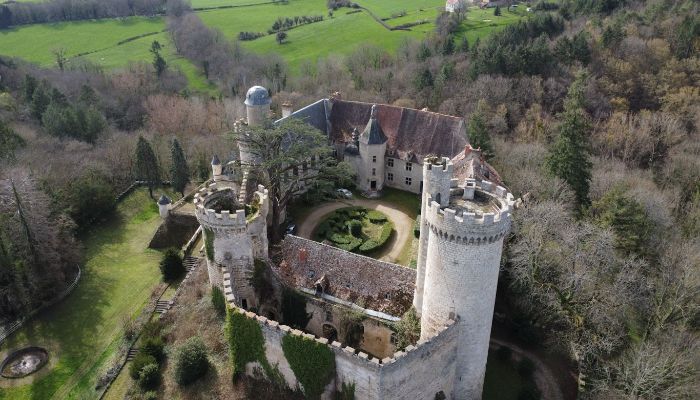 Castle for sale Veauce, Auvergne-Rhône-Alpes,  France
