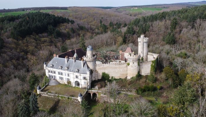 Slot købe Veauce, Auvergne-Rhône-Alpes,  Frankrig