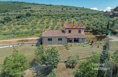 Landhus købe Cortona, Toscana, RIF 3085 Garten vor Haus