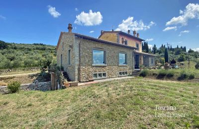 Country House for sale Cortona, Tuscany:  RIF 3085 Landhaus und Garten