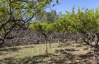 Historisk villa købe Oria, Puglia, Billede 16/34