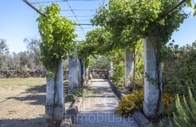 Historisk villa købe Oria, Puglia, Billede 29/34