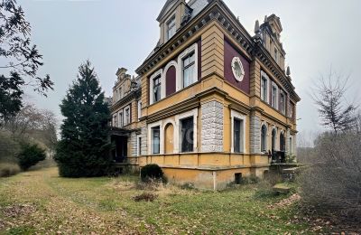 Castle for sale Olszyna Dolna, Pałac Olszyna, Lower Silesian Voivodeship, Back view