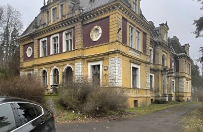 Castle for sale Olszyna Dolna, Pałac Olszyna, Lower Silesian Voivodeship, Photo 2/7