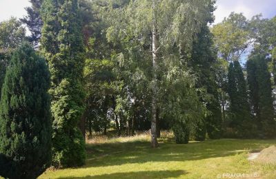 Slot købe Opava, Moravskoslezský kraj, Park