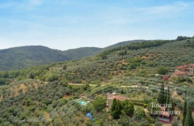 Country House for sale Loro Ciuffenna, Tuscany:  RIF 3098 Anwesen und Umgebung