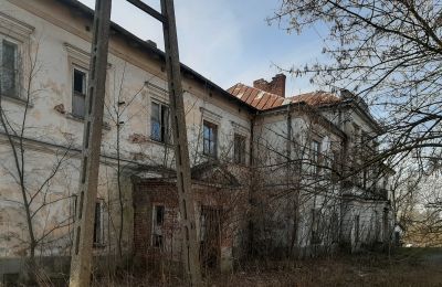 Endangered monuments in Poland: The palace in Sobieszyn, Lublin, Photo 9