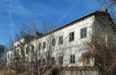 Endangered monuments in Poland: The palace in Sobieszyn, Lublin, Photo 3