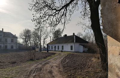 Endangered monuments in Poland: The palace in Sobieszyn, Lublin, Photo 14