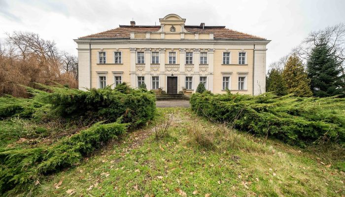 Castle Gola, Greater Poland Voivodeship