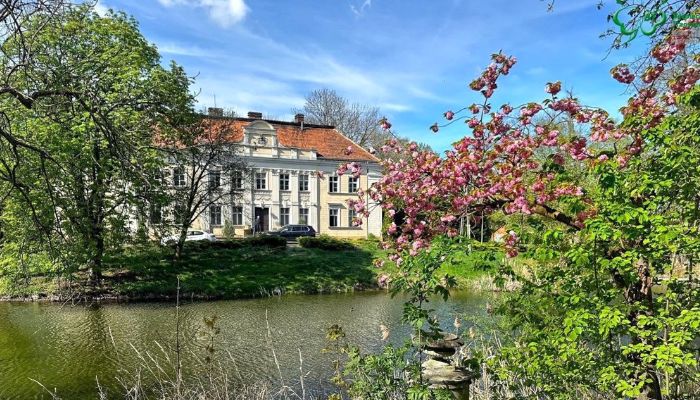 Castle for sale Gola, Greater Poland Voivodeship,  Poland