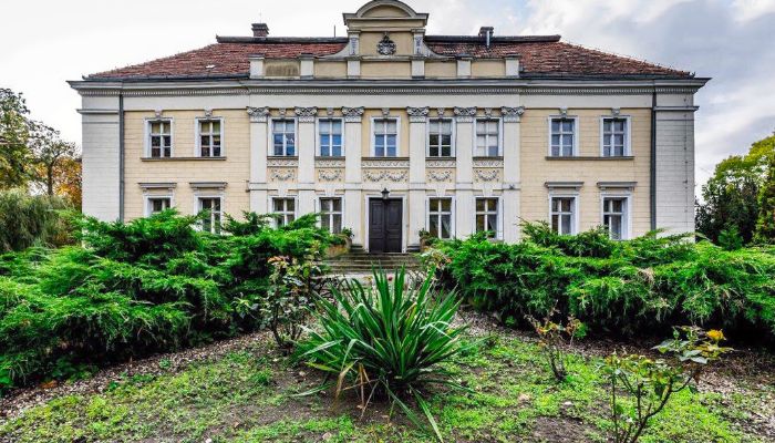 Castle for sale Gola, Greater Poland Voivodeship,  Poland