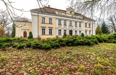 Castle for sale Gola, Greater Poland Voivodeship, Photo 2/46