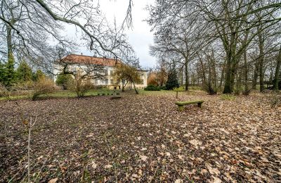 Castle for sale Gola, Greater Poland Voivodeship, Terrace