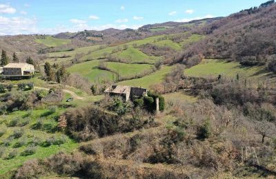 Medieval Castle for sale 06026 Pietralunga, Umbria, Photo 6/11