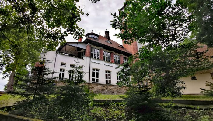 Historic Villa Karlovy Vary 3