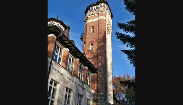 Historic Villa Karlovy Vary 4